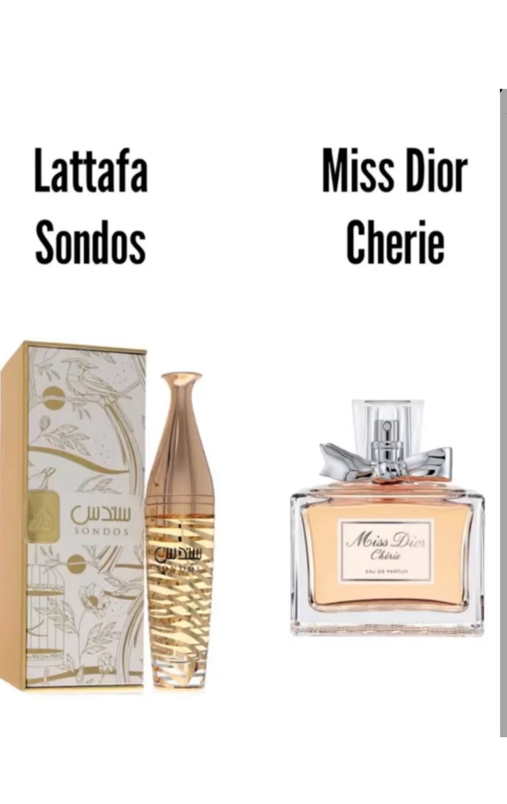 LATTAFA
Sondos Lattafa 3.4 oz EDP