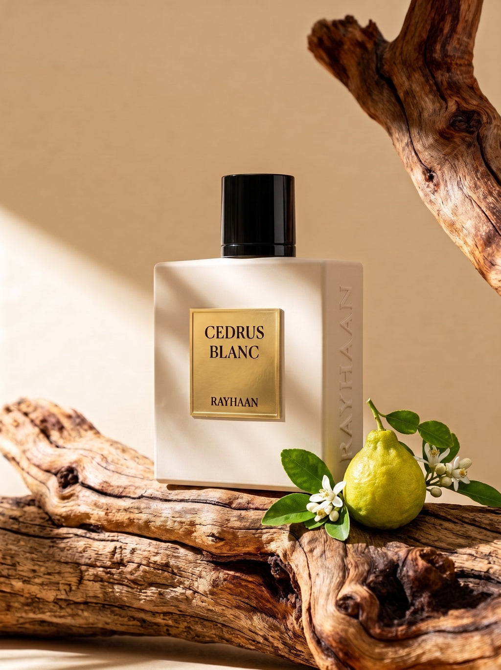 Cedrus Blanc by Rayhaan EDP 100 ml