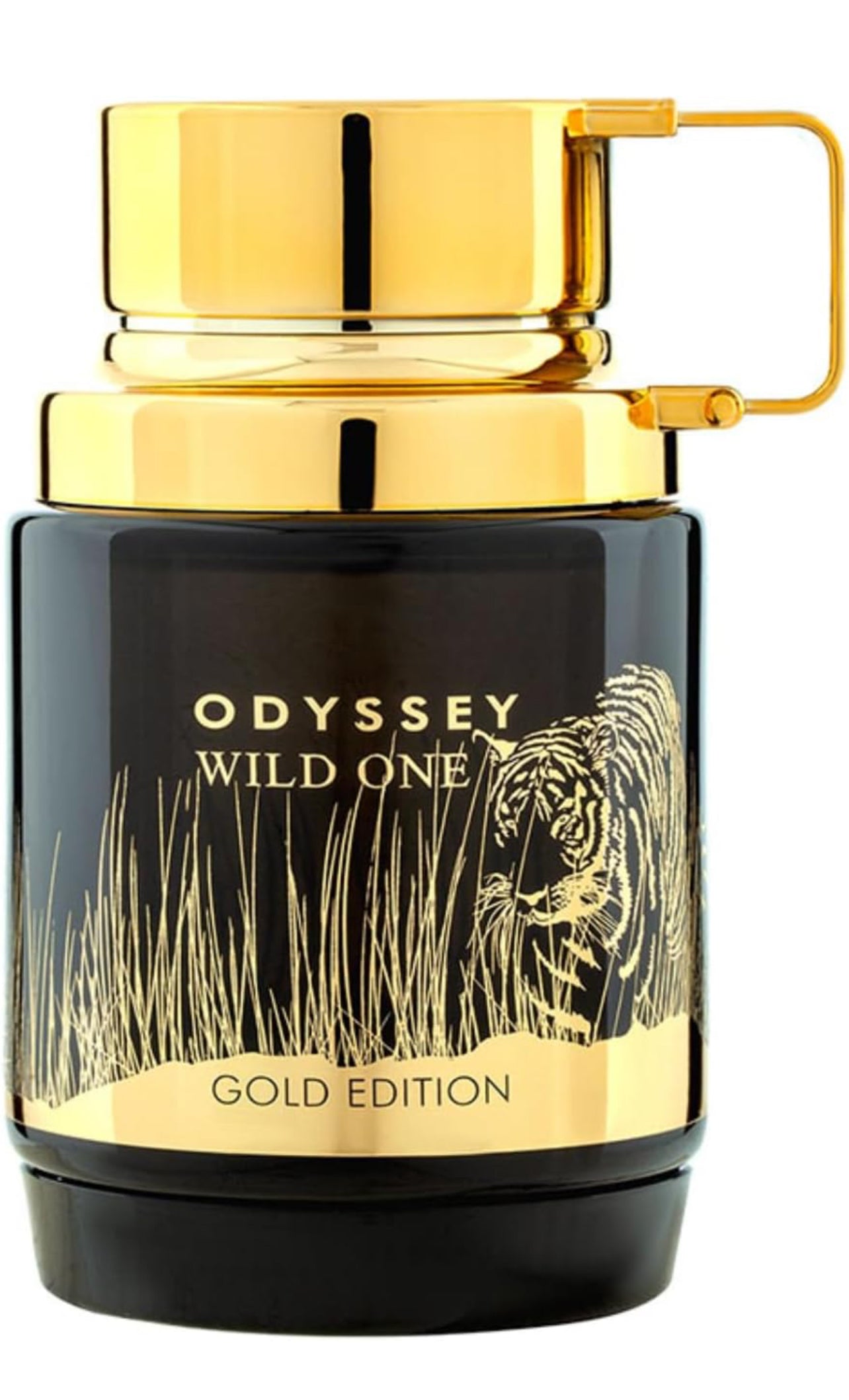 Odyssey Wild One Pour Homme EDP Spray 100ML By Armaf